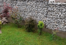 amenajari gradina Buftea Amenajari Gradina Buftea - GEO KAR GREEN SRL