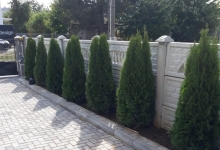 amenajari gradina Buftea Amenajari Gradina Buftea - GEO KAR GREEN SRL