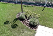 amenajari gradina Mizil Amenajari Gradini Spatii Verzi - Creative Event