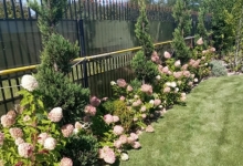 amenajari gradina Comarnic Amenajari Gradini Spatii Verzi - Creative Event