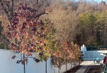 amenajari gradina Slobozia Amenajari Gradini Spatii Verzi - Creative Event