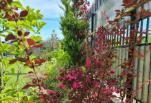 amenajari gradina Mizil Amenajari Gradini Spatii Verzi - Creative Event