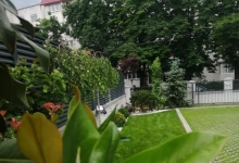 amenajari gradina Vernesti Amenajari Gradini Spatii Verzi - Creative Event