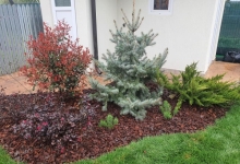 amenajari gradina Comarnic Amenajari Gradini Spatii Verzi - Creative Event