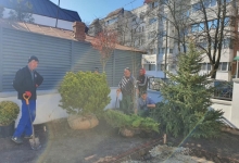 amenajari gradina Vernesti Amenajari Gradini Spatii Verzi - Creative Event