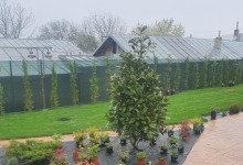 amenajari gradina Comarnic Amenajari Gradini Spatii Verzi - Creative Event