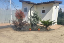 amenajari gradina Braila Amenajari Gradini Spatii Verzi - Creative Event