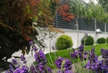 amenajari gradina Braila Amenajari Gradini Spatii Verzi - Creative Event