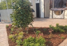 amenajari gradina Braila Amenajari Gradini Spatii Verzi - Creative Event