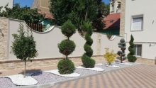amenajari gradina Pecica Flower Garden Design