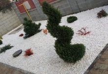 amenajari gradina Pecica Flower Garden Design