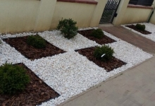 amenajari gradina Pecica Flower Garden Design