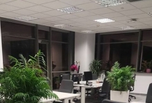 amenajari gradina Pecica Flower Garden Design