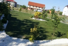 amenajari gradina Pecica Flower Garden Design