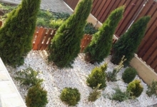 amenajari gradina Pecica Flower Garden Design