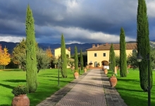 amenajari gradina Pecica Flower Garden Design