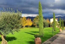 amenajari gradina Pecica Flower Garden Design