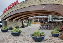 amenajari gradina Pecica Flower Garden Design