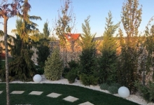 amenajari gradina Pecica Flower Garden Design