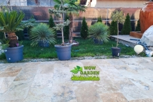 amenajari gradina Pipera Amenajari Gradina Pipera - WOW GARDEN