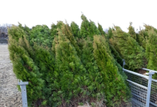 amenajari gradina Gaesti GEO KAR GREEN SRL