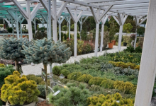amenajari gradina Gaesti GEO KAR GREEN SRL