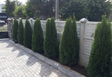 amenajari gradina Gaesti GEO KAR GREEN SRL