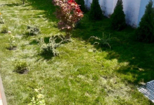 amenajari gradina Iasi Bogardens Design SRL