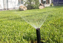 amenajari gradina Iasi Bogardens Design SRL