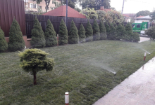 amenajari gradina Iasi Bogardens Design SRL