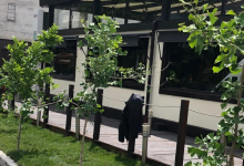 amenajari gradina Ciolpani Amenajari Gradini si Spatii Verzi Ciolpani ADD.GREEN EXCLUSIVE