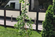 amenajari gradina Ciolpani Amenajari Gradini si Spatii Verzi Ciolpani ADD.GREEN EXCLUSIVE