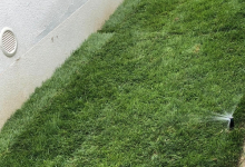 amenajari gradina Petrachioaia Amenajari Gradini si Spatii Verzi Petrachioaia ADD.GREEN EXCLUSIVE