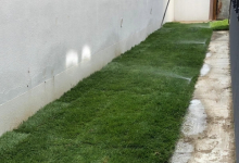 amenajari gradina Medgidia Amenajari Gradina Medgidia - ADD.GREEN EXCLUSIVE