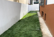 amenajari gradina Murfatlar Amenajari Gradina Murfatlar - ADD.GREEN EXCLUSIVE