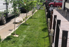 amenajari gradina Draganesti-Olt Amenajari Gradina Draganesti-Olt - ADD.GREEN EXCLUSIVE