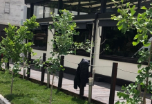 amenajari gradina Negru Voda Amenajari Gradina Negru Voda - ADD.GREEN EXCLUSIVE