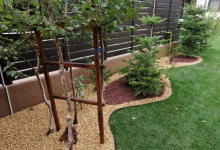 amenajari gradina Vama Veche Amenajari Gradina Vama Veche - ADD.GREEN EXCLUSIVE